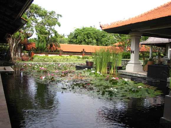a0116439_1847282.jpg