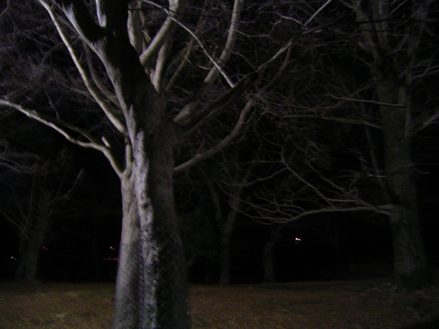 f0040342_1622457.jpg
