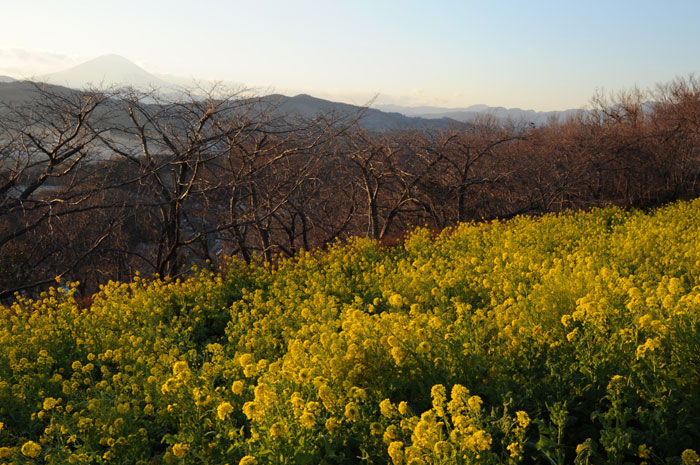 b0067346_14472319.jpg