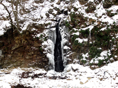 f0083348_21273279.jpg