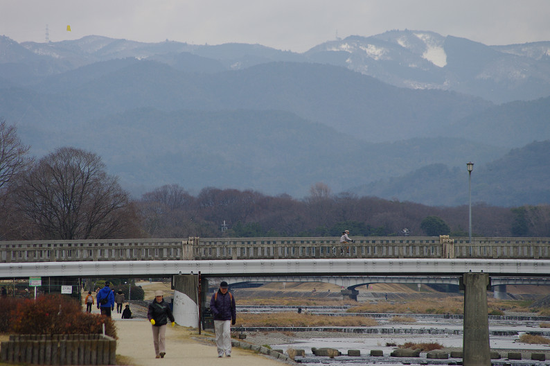 賀茂川　バードスナップ．．．_f0152550_18383623.jpg