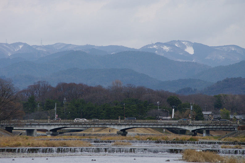 賀茂川　バードスナップ．．．_f0152550_1839554.jpg