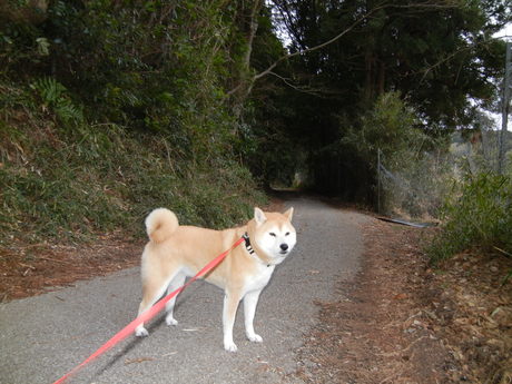 2012年1月29日(日)今日もお部屋が最高!_f0060461_121645100.jpg