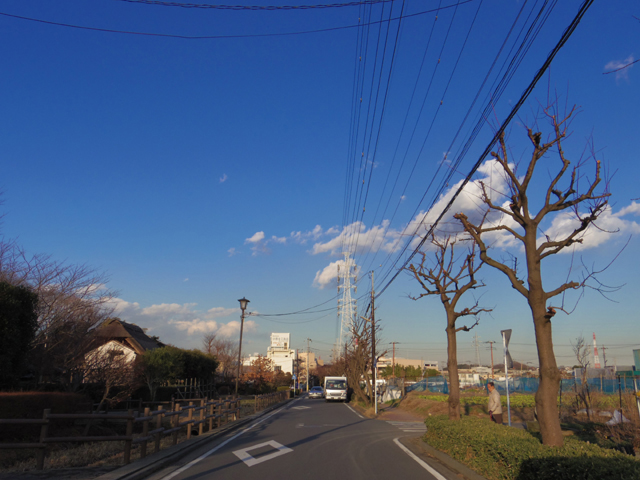 横浜市鶴見区獅子ケ谷３丁目付近_f0230961_7322891.jpg