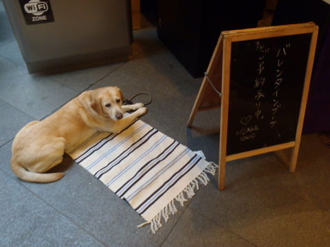 f0052277_1582710.jpg
