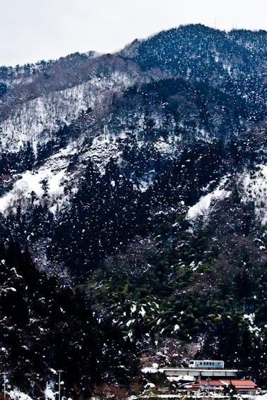 f0136878_121302.jpg