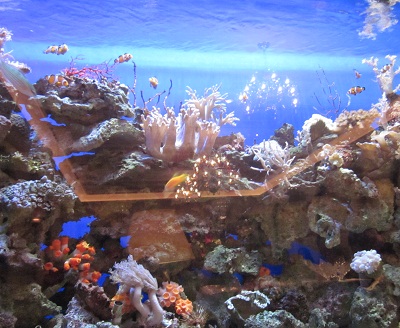 f0171089_17151813.jpg