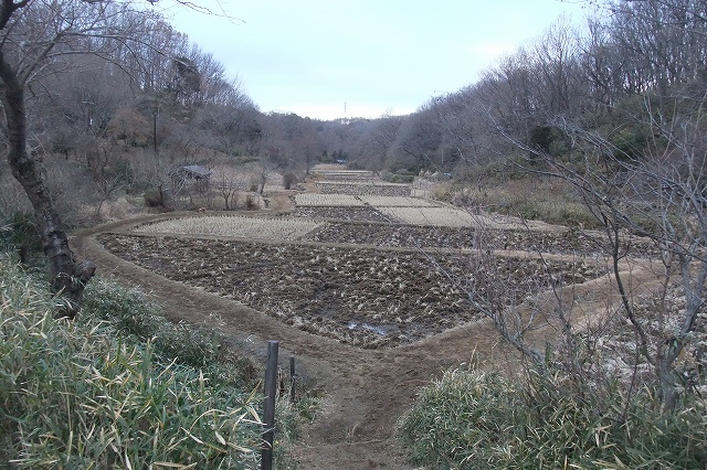e0070891_18453490.jpg