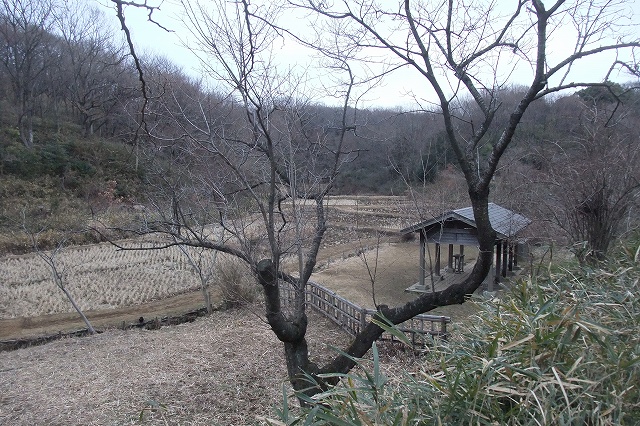 e0070891_18475783.jpg