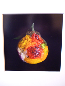 NOMA企画展「飾る写真」_d0123492_21483619.jpg