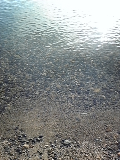 f0017897_1731244.jpg