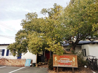 e0143298_1035223.jpg