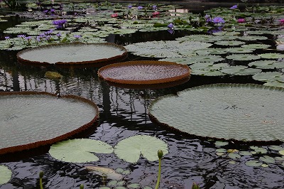 a0123003_22274493.jpg