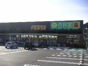 d0160610_11242170.jpg