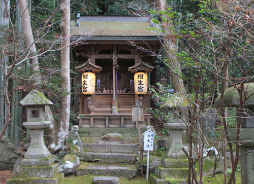赤山禅院 初不動_e0048413_2105814.jpg