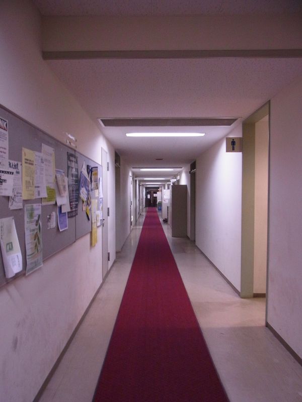 夜になってから農学部で会議_c0025115_20431592.jpg
