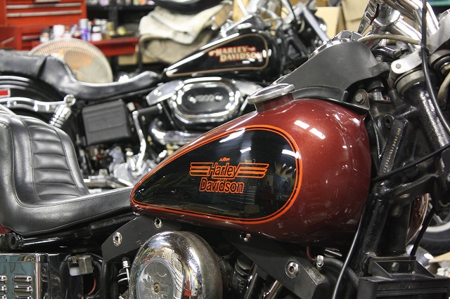 Shovel Head(s)_a0110720_1911946.jpg