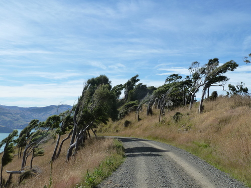 b0208620_5175427.jpg