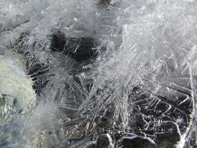 e0234924_1737367.jpg