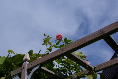 f0170524_9574299.jpg