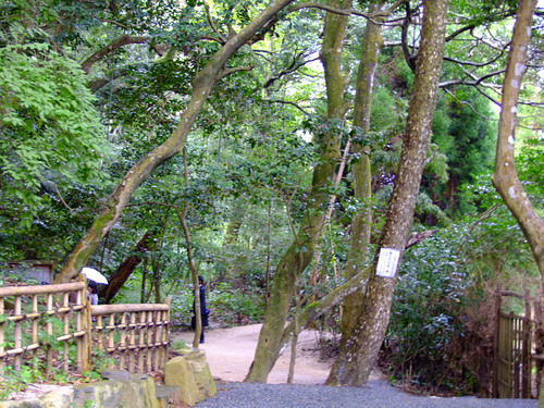 「島根県 出雲・松江を巡る旅2011 八重垣神社」_a0000029_100223.jpg