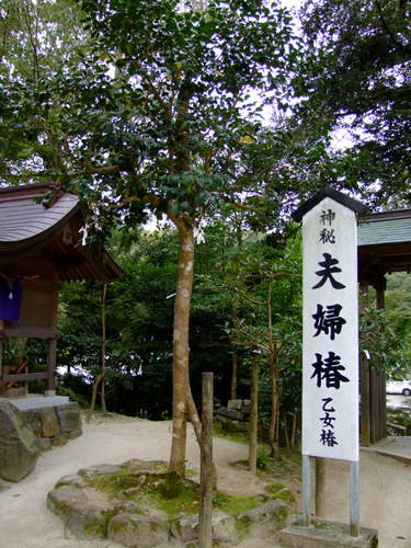 「島根県 出雲・松江を巡る旅2011 八重垣神社」_a0000029_10125464.jpg