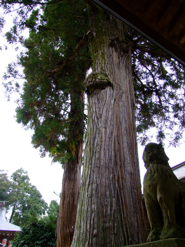 「島根県 出雲・松江を巡る旅2011 八重垣神社」_a0000029_1015160.jpg