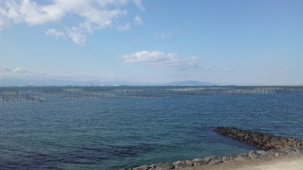 a0140031_1438227.jpg