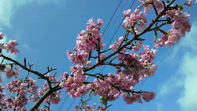 b0086931_23435893.jpg