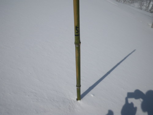 f0118332_028183.jpg