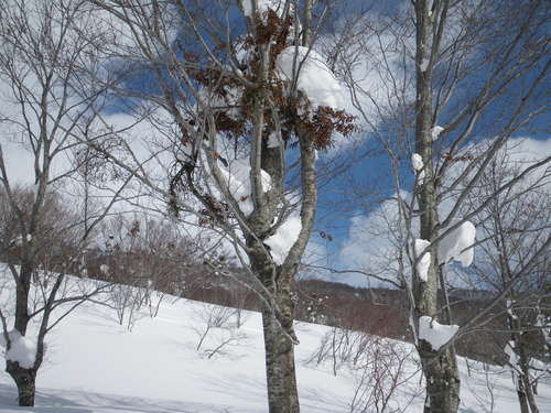 f0118332_0352963.jpg