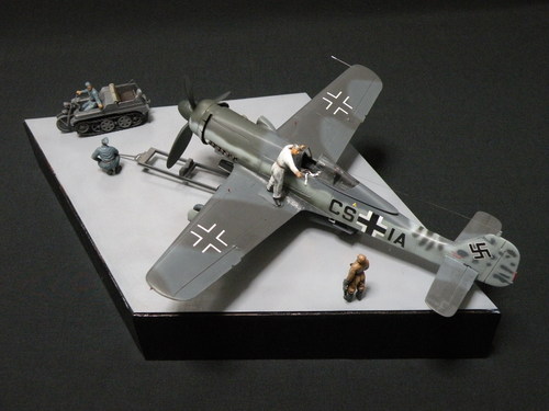 Fw190D-V63「残照」_e0241738_23471340.jpg