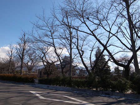 a0014840_21104063.jpg