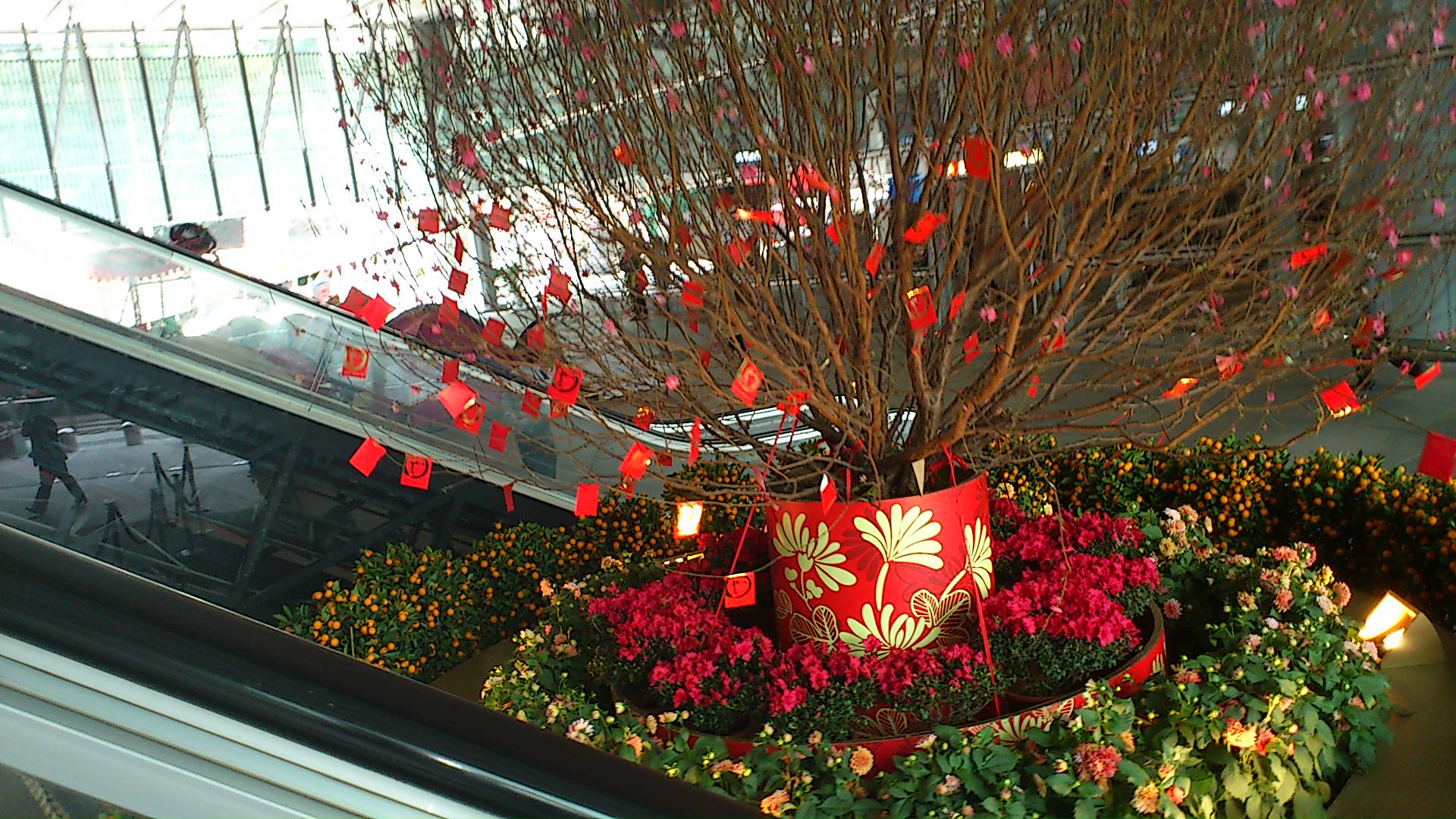 a0098948_1411641.jpg
