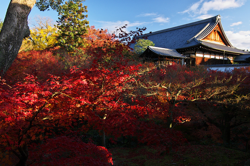 晩秋光景・東福寺（後編）_f0155048_2312170.jpg