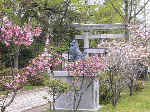 b0238249_20471219.jpg
