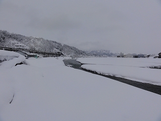 魚野川の雪_a0084753_164089.jpg