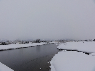 魚野川の雪_a0084753_1642370.jpg
