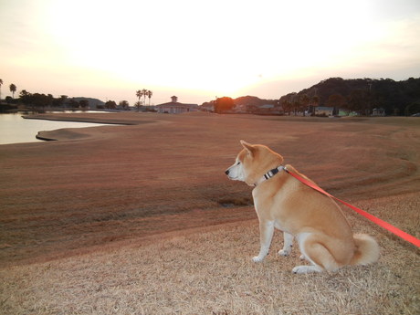 2012年1月30日(月)寒い日はウォーミングアップで暖かく!_f0060461_13193015.jpg