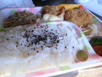 山珍　中華弁当_a0007462_14314353.jpg