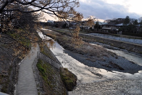 e0125762_2224189.jpg