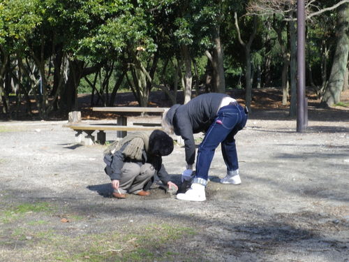 豚汁だよおっかさん_e0206865_45512.jpg