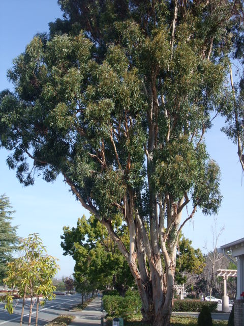 c0115366_15555623.jpg