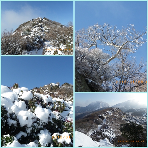 白銀の扇ヶ鼻へ朝駆け登山_f0016066_10532445.jpg