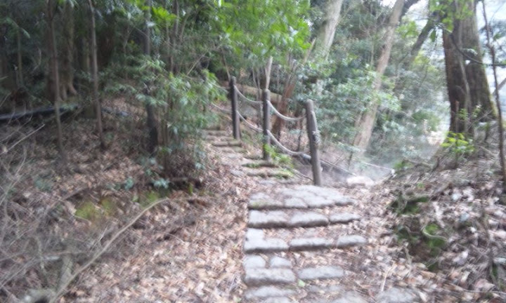 b0164568_830960.jpg