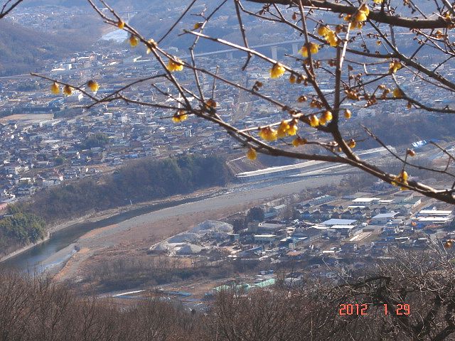 No.0818　宝登山蝋梅園_f0104277_14441738.jpg