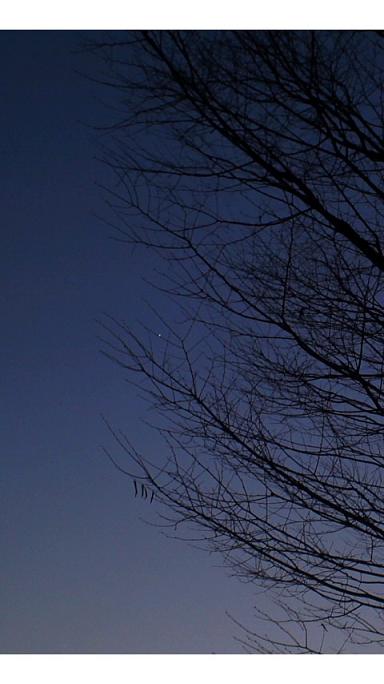 e0203580_20225891.jpg