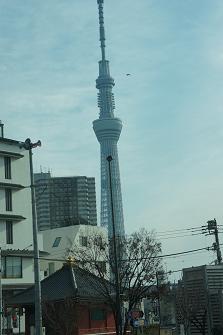 a0240108_2040102.jpg