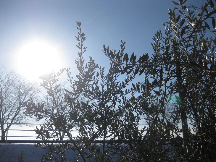 f0179209_921051.jpg