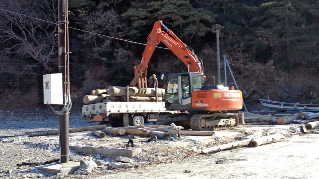 流されてきた丸太の撤去【2012/1/30】_b0219510_1344975.jpg